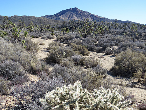 Crescent Peak