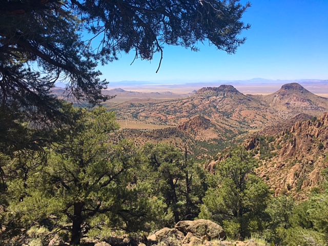 Pinyon-juniper